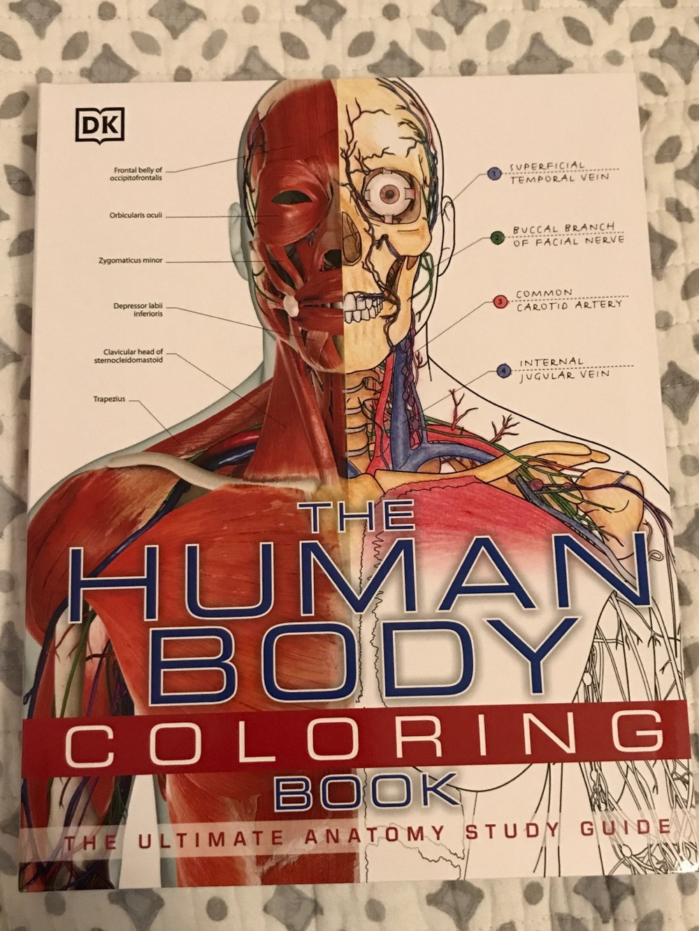 Anatomy Illustration Book - Black and White Medical Diagrams